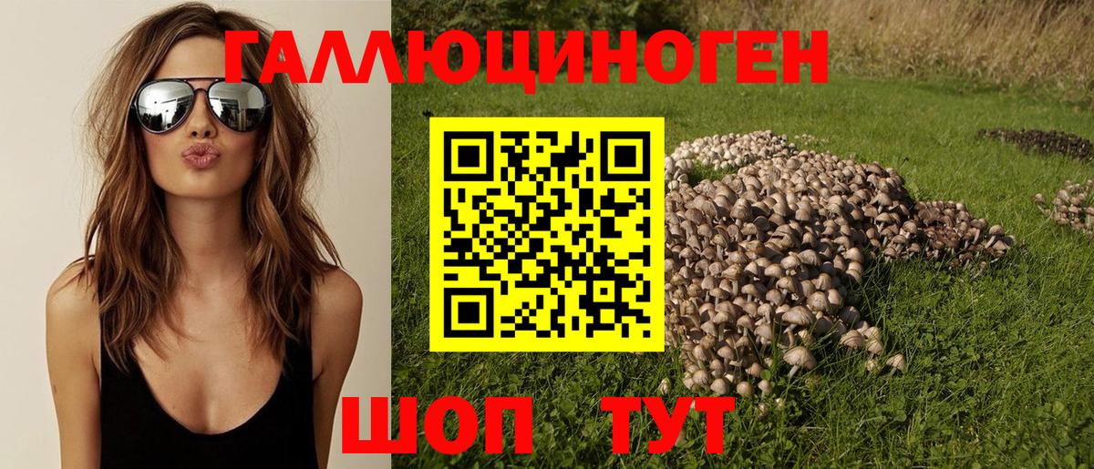 Галлюциногенные грибы Cubensis Октябрьский