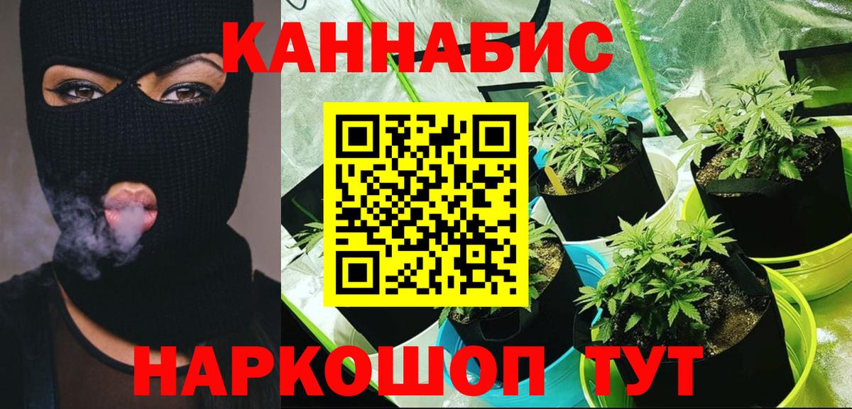 Бошки марихуана White Widow  Шишки марихуана Ganja  Октябрьский  Вход с VPN  Бошки марихуана Ganja 